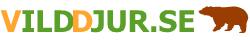 Vilddjur.se – Allt om vilda djur!